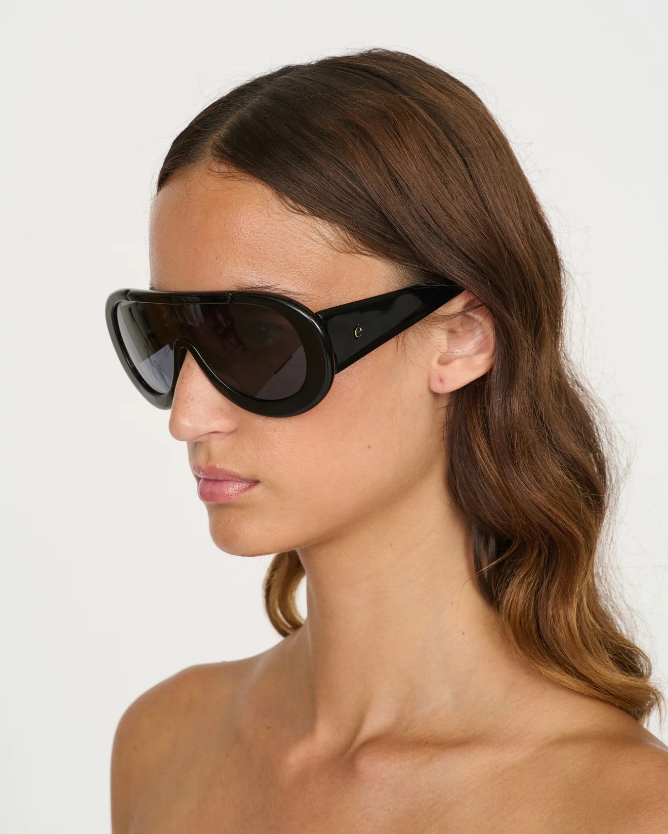 Navigator Sunglasses