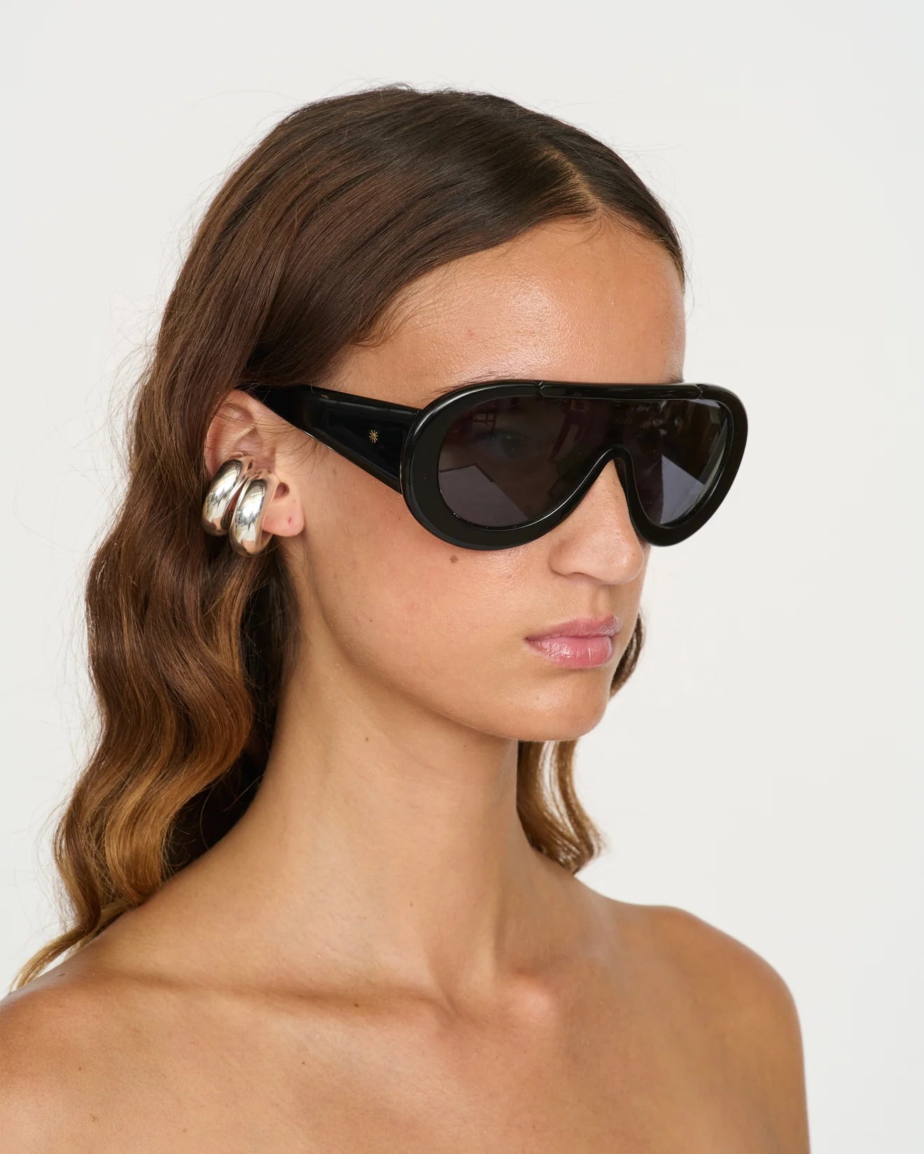 Navigator Sunglasses