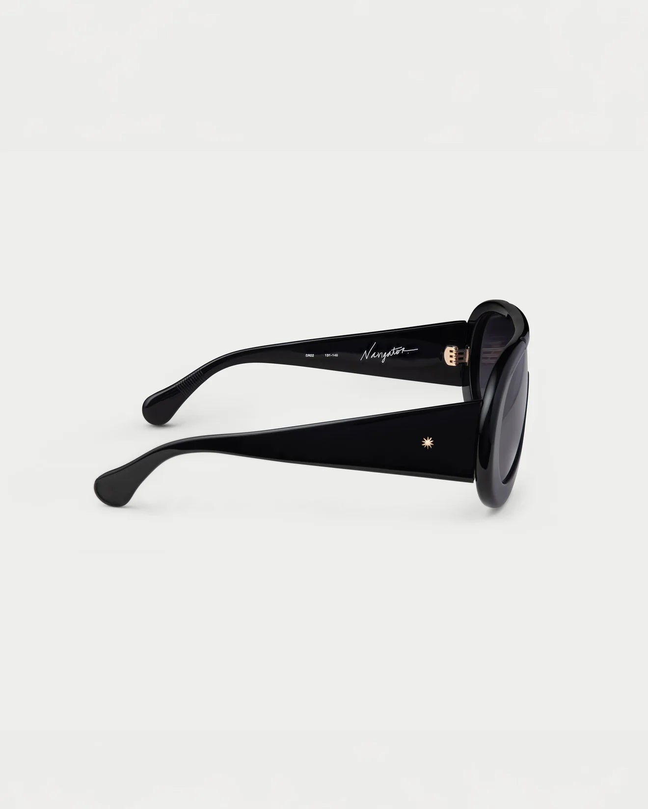 Navigator Sunglasses